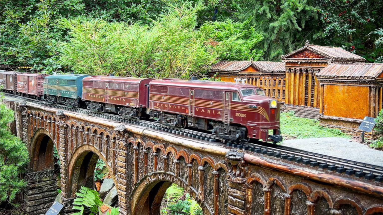 g scale in garden
