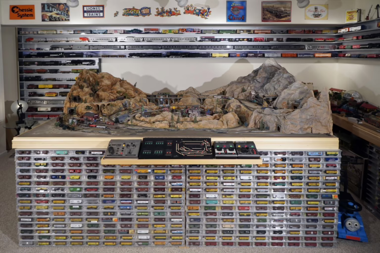 train layout and display storage case